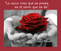 Frases célebres sobre el Arte, la Cultura y la Educación. Primer plano de unas manos sosteniendo una rosa roja vibrante sobre un fondo en blanco y negro. La imagen está enmarcada en granate con la frase de Isabel Allende: "La única cosa que se posee, es el amor que se da".