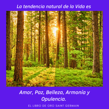 Frases Arte Cultura Educación