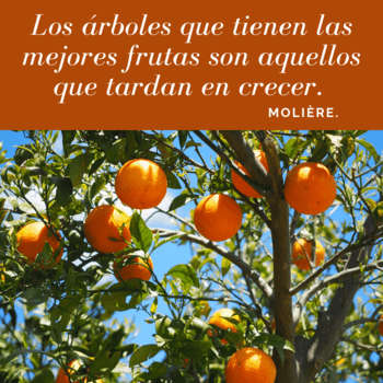 Frases Arte Cultura Educación