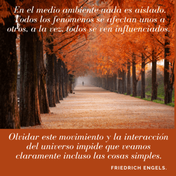 Frases Arte Cultura Educación