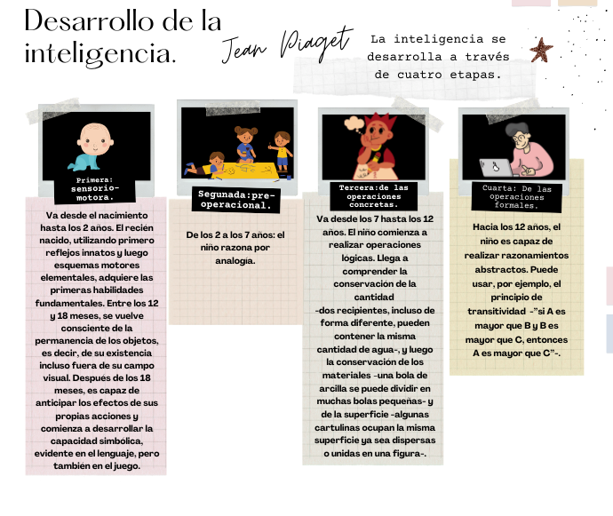 Infografía que explica las cuatro etapas del desarrollo de la inteligencia de Jean Piaget: sensoriomotora, preoperacional, operaciones concretas y operaciones formales, con descripciones de cada una.